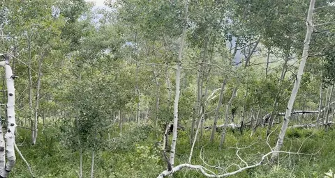 Undisclosed, Fairview, UT 84629 photo 7