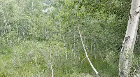 Undisclosed, Fairview, UT 84629 photo 17
