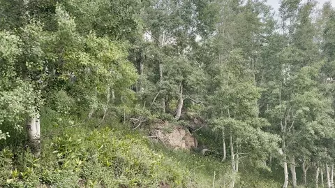 Undisclosed, Fairview, UT 84629 photo 12