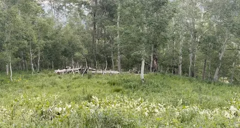 Undisclosed, Fairview, UT 84629 photo 10