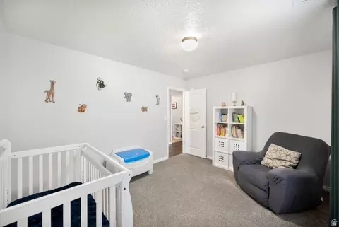 2309 E Hitching Post Dr, Eagle Mountain, UT 84005 photo 29