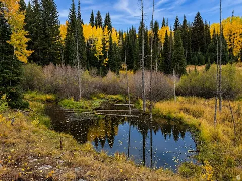 12490 E Old Stage Rd, Brighton, UT 84121 photo 3