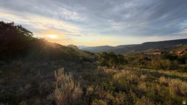 2341 S Westview Dr #1354, Heber City, UT 84032