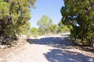 Undisclosed, Fairview, UT 84629 photo 6