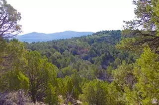 Undisclosed, Fairview, UT 84629 photo 3