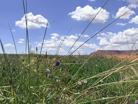 Undisclosed, Kanab, UT 84741 photo 2