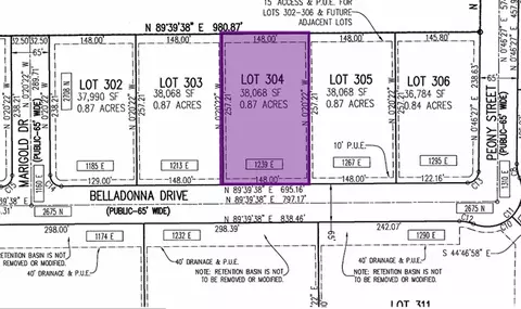 1239 E Belladonna Dr #304, Eagle Mountain, UT 84005 photo 2