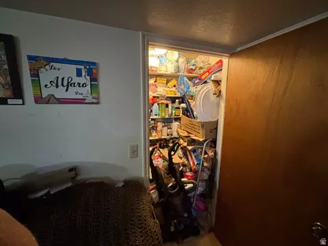 1146 S 1000 E, Clearfield, UT 84015 photo 25