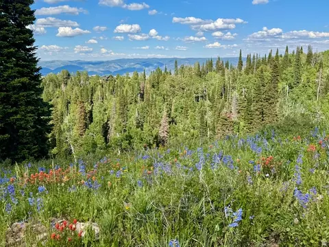 Other - 0, Paradise, UT 84328 photo 34 of 36