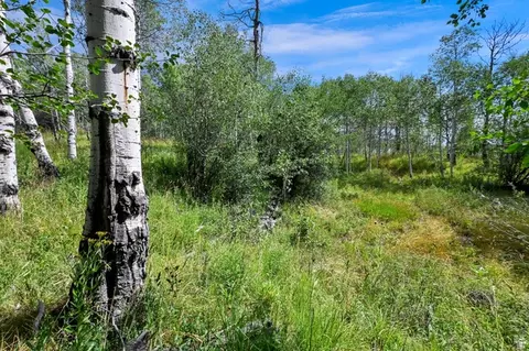 5426 E Colter #33, Oakley, UT 84055 photo 16