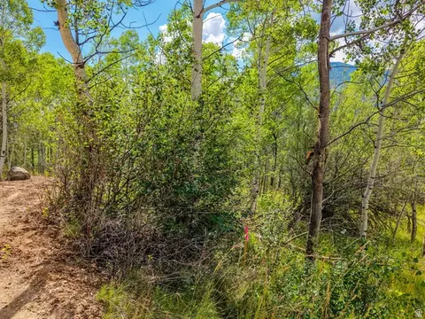 5426 E Colter #33, Oakley, UT 84055 photo 21