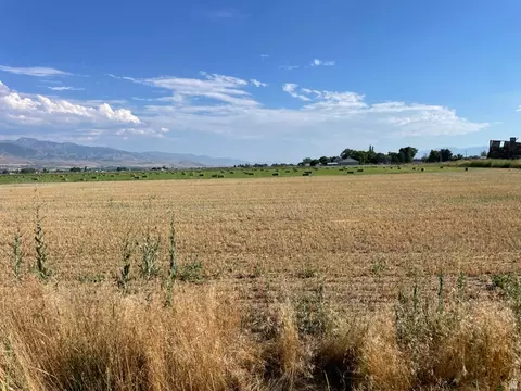 50 E 800 N, Lewiston, UT 84320 photo 8
