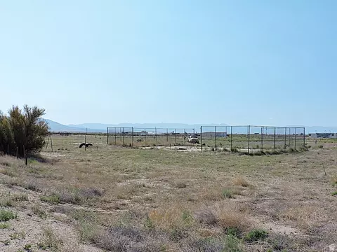 700 E 700 N, Delta, UT 84624 photo 11