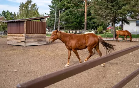 Other - 3400 S Big Hollow Rd, Daniel, UT 84032 photo 10 of 17