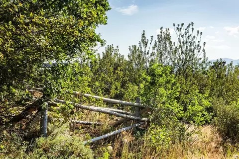 Undisclosed, Kamas, UT 84036 photo 17