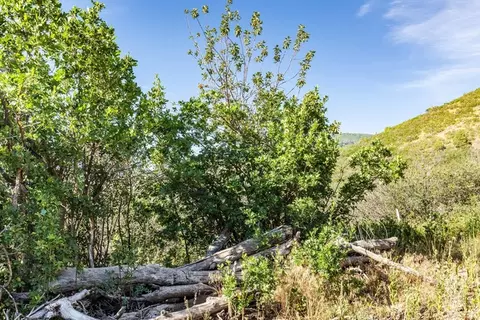 Undisclosed, Kamas, UT 84036 photo 7