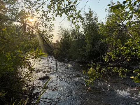 Undisclosed, Bloomington, ID 83223 photo 6