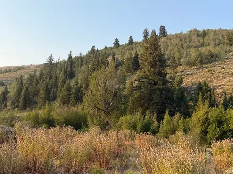 Undisclosed, Bloomington, ID 83223 photo 8
