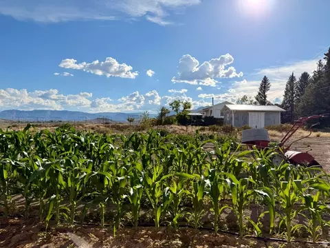 Exterior - 910 E Clawson Bench Rd, Clawson, UT 84516 photo 18 of 20