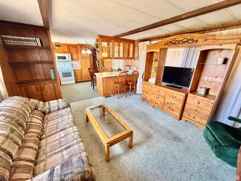 Living - 910 E Clawson Bench Rd, Clawson, UT 84516 photo 3 of 4