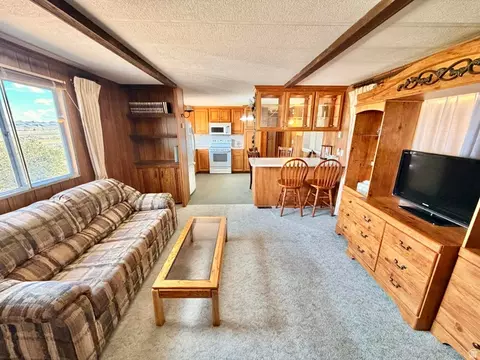 Living - 910 E Clawson Bench Rd, Clawson, UT 84516 photo 4 of 4