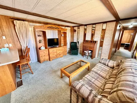 Living - 910 E Clawson Bench Rd, Clawson, UT 84516 photo 2 of 4