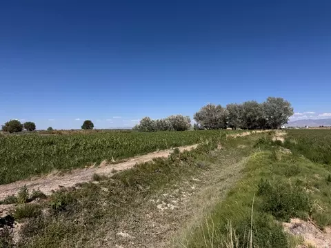 6000 W 200 S, Delta, UT 84624 photo 7