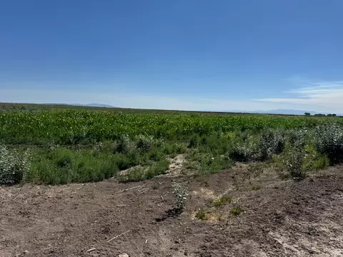 6000 W 200 S, Delta, UT 84624 photo 13