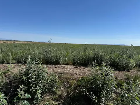 6000 W 200 S, Delta, UT 84624 photo 18