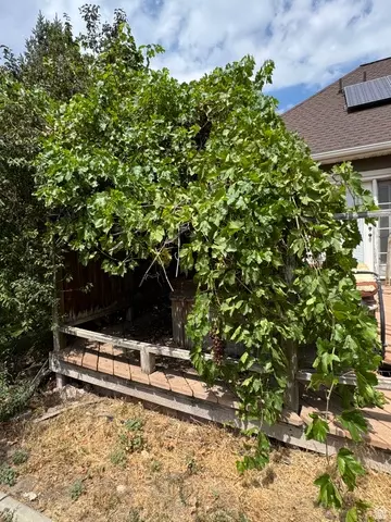 Other - 28 E 1600 S, Payson, UT 84651 photo 6 of 7
