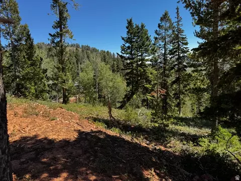 25 Kokopelli Loop #25, Brian Head, UT 84719 photo 13