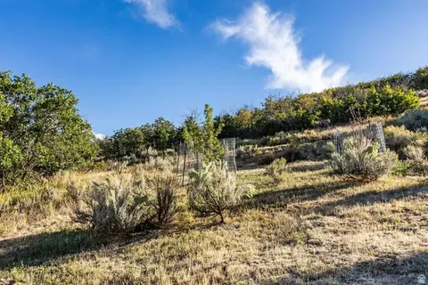 Exterior - 460 E Saddle Dr, Midway, UT 84049 photo 48 of 54