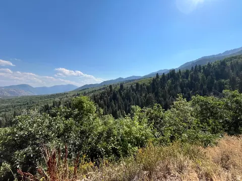 lot8 8 #88, Springville, UT 84663