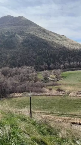 4320 E Cub River Rd #3, Preston, ID 83263 photo 6