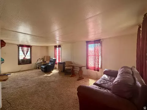 Other - 2308 E Highway 40, Naples, UT 84078 photo 3 of 3