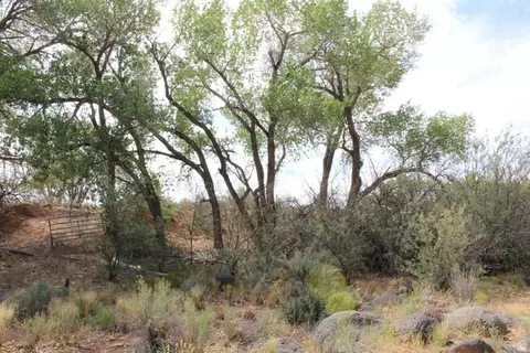 Exterior - 4500 S Notom Rd, Torrey, UT 84775 photo 2 of 6