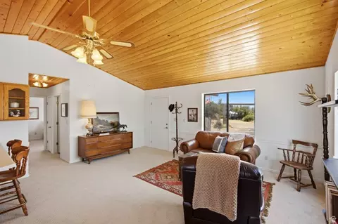 Living - 12035 E Fairview Dr N, Fairview, UT 84629 photo 4 of 6