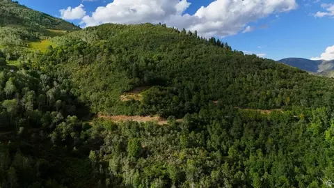 114 Oakwood Dr #114, Springville, UT 84663