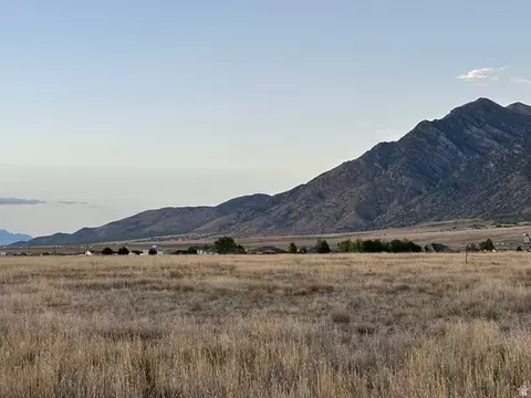 463 S 300 E, Mona, UT 84645 photo 5