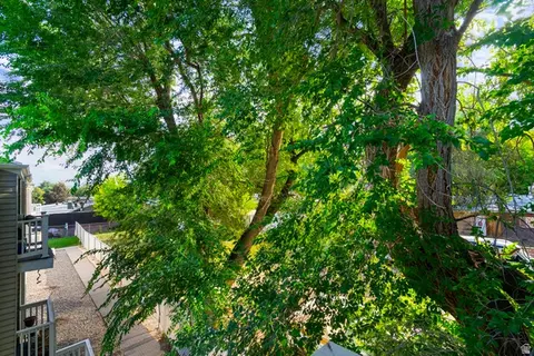 Other - 875 E Arrowhead Ln #42, Murray, UT 84107 photo 5 of 5