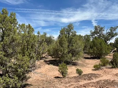 Exterior - 0, Talmage, UT 84073 photo 9 of 11