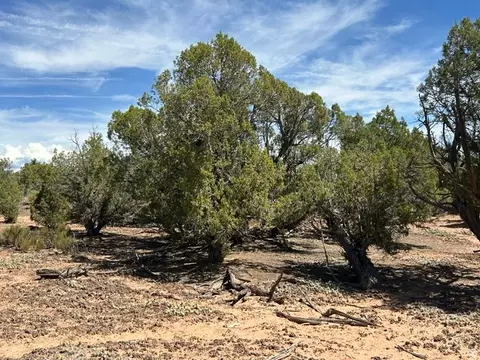 Exterior - 0, Talmage, UT 84073 photo 11 of 11