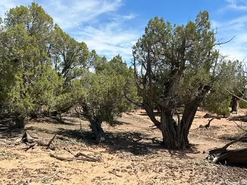 Exterior - 0, Talmage, UT 84073 photo 10 of 11