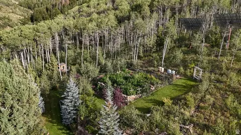 Other - 2592 S Red Pine Canyon Rd, Kamas, UT 84036 photo 11 of 16