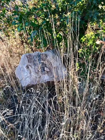 Undisclosed, Springville, UT 84663 photo 34