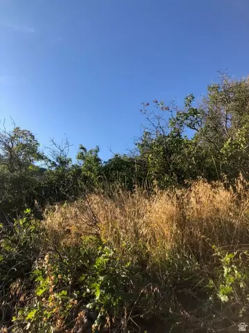 Undisclosed, Springville, UT 84663 photo 17
