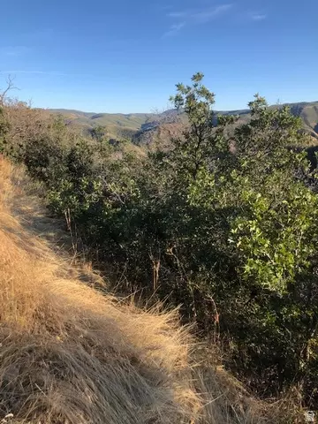 Undisclosed, Springville, UT 84663 photo 38