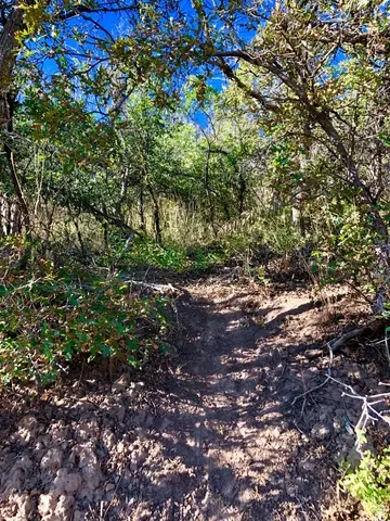 Undisclosed, Springville, UT 84663 photo 13