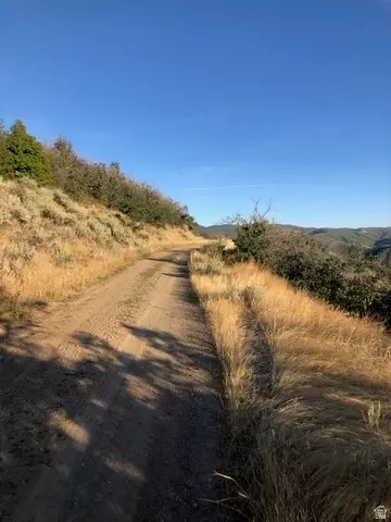 Undisclosed, Springville, UT 84663 photo 33