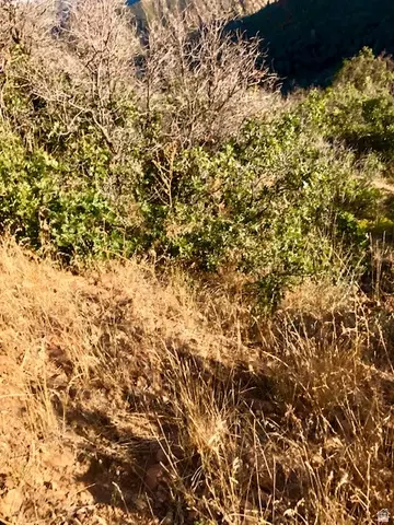 Undisclosed, Springville, UT 84663 photo 31